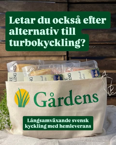 Långsamväxande kyckling