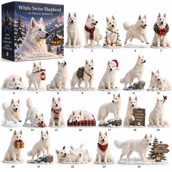 24 Little White Shepherd Moments