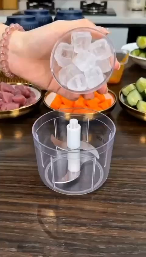 #1 Electric Chopper