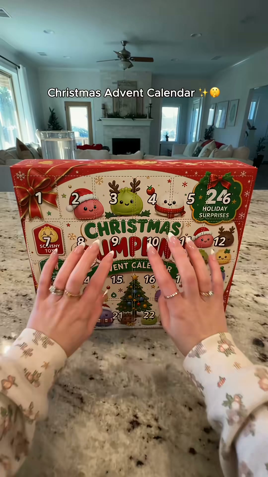 Christmas Dumpling Squishy Advent Calendar 24 Cute Surprise Fidget Toys