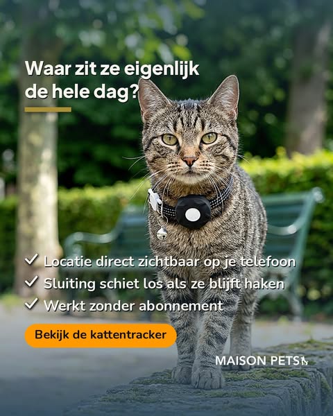 Ontdek waar je kat de hele dag zit