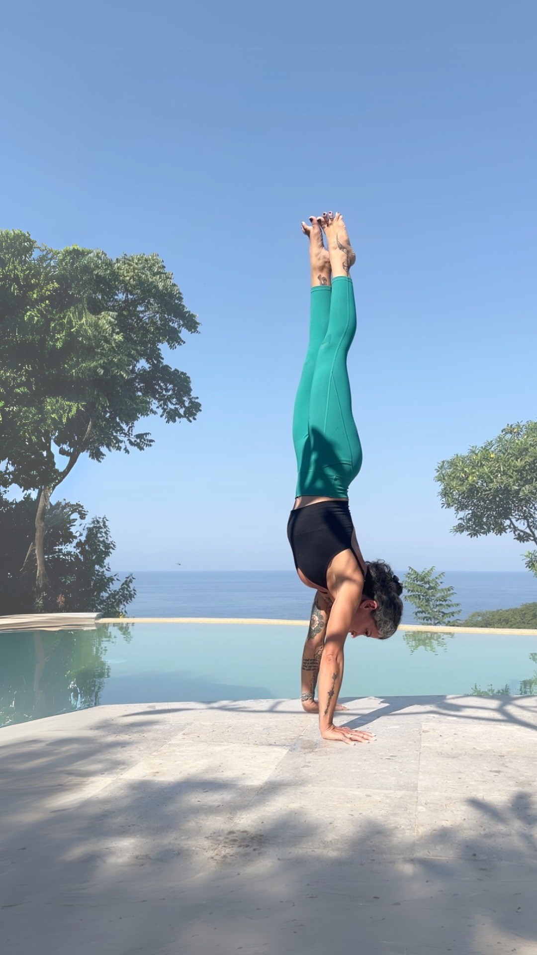 The Ultimate Guide to Arm Balances & Inversions