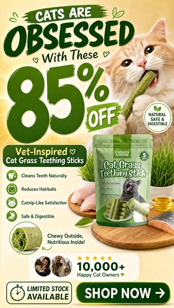 Get 15% Off. Use SAVE15 code at Checkout