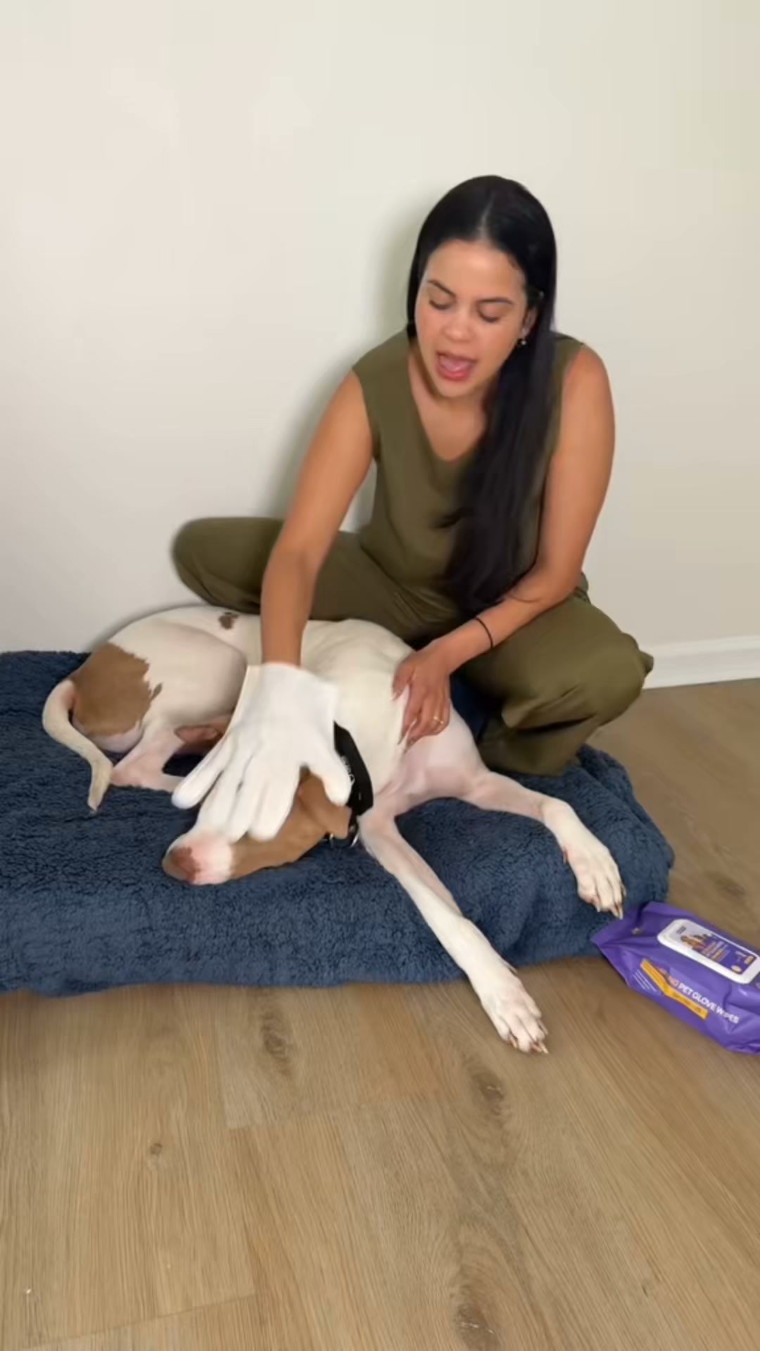 Límpialo en 2 minutos, sin bañarlo