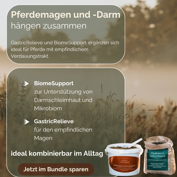 Jetzt den Unterschied entdecken