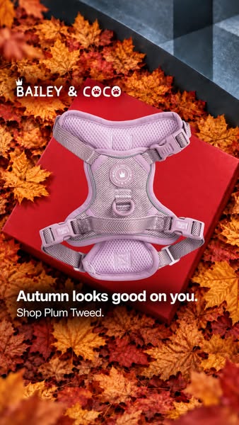 Plum Tweed No-Pull Harness
