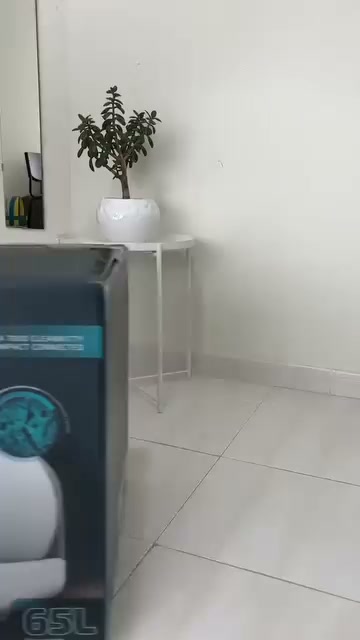 El arenero que se limpia solo