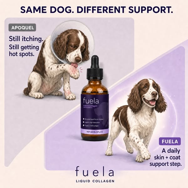 Fuela Premium Liquid Collagen