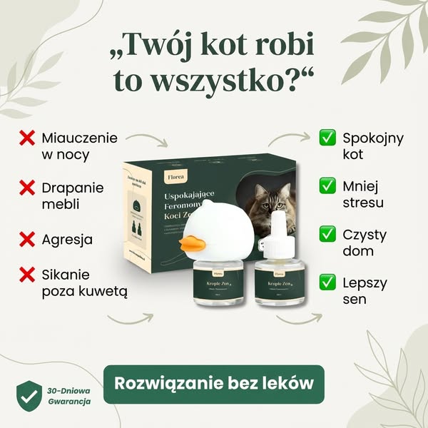 Feromony Florea - Koci Zen