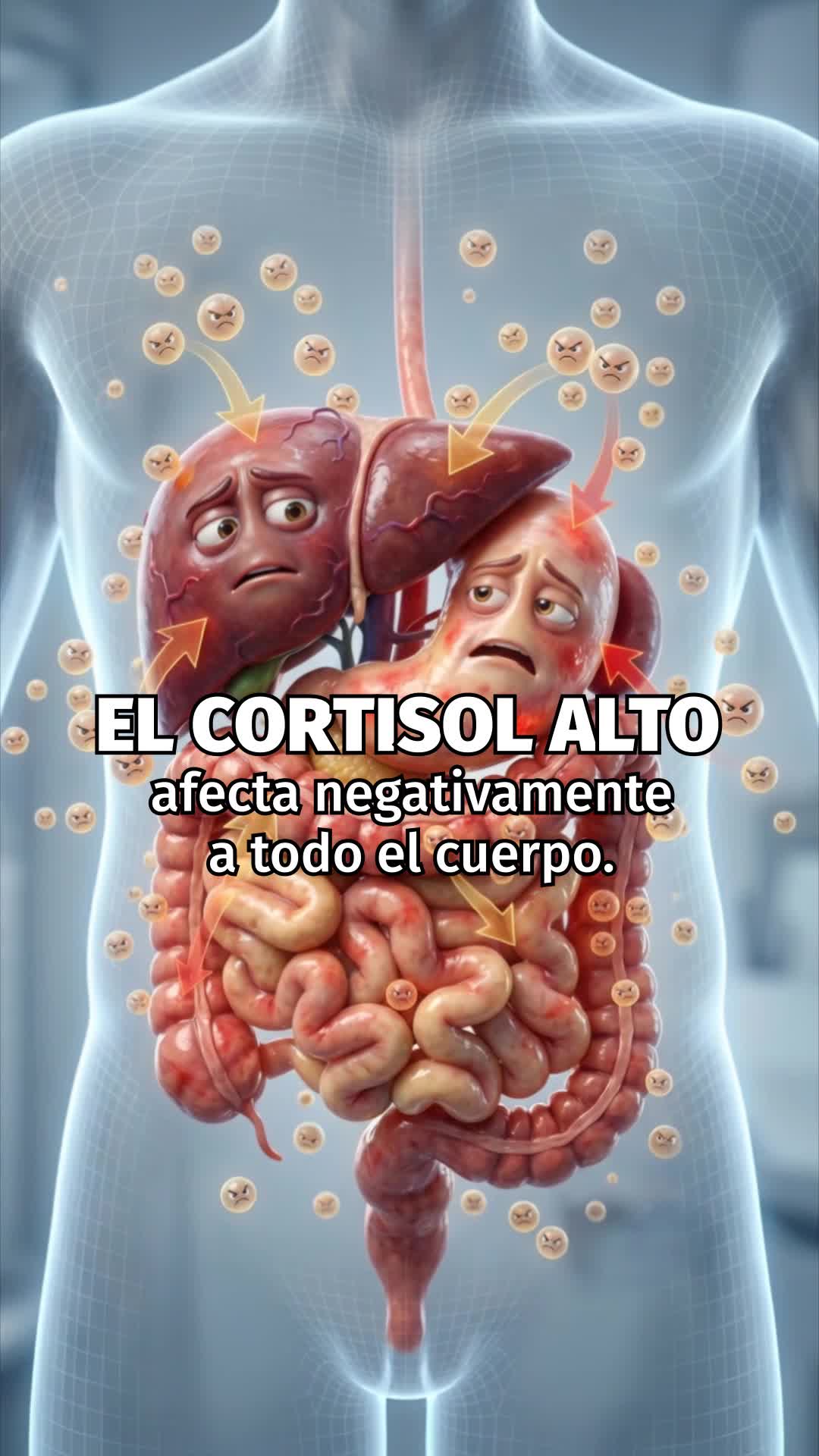 Si tienes 35+ y ganas grasa alrededor del abdomen rápidamente… lee esto