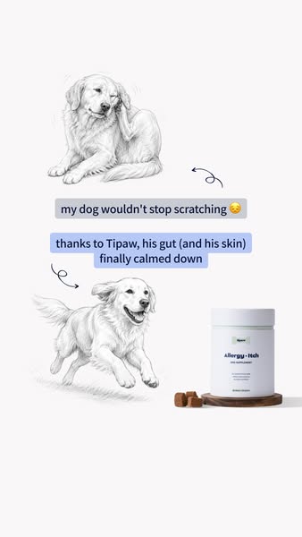 Shop Tipaw Today