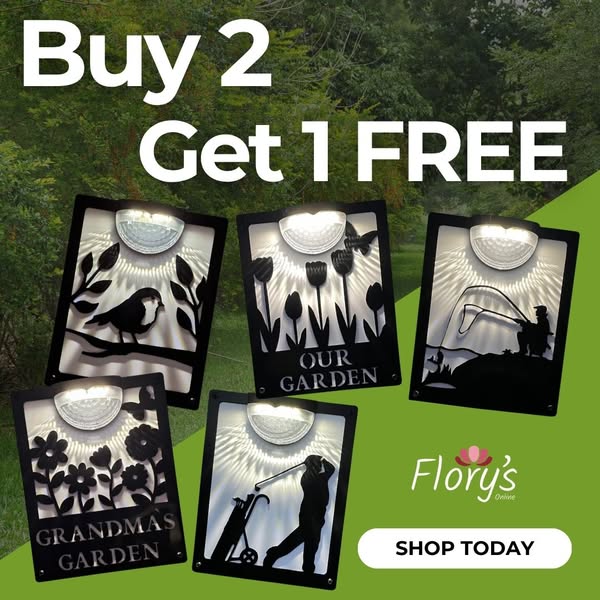 Buy 2, Get 1 Free