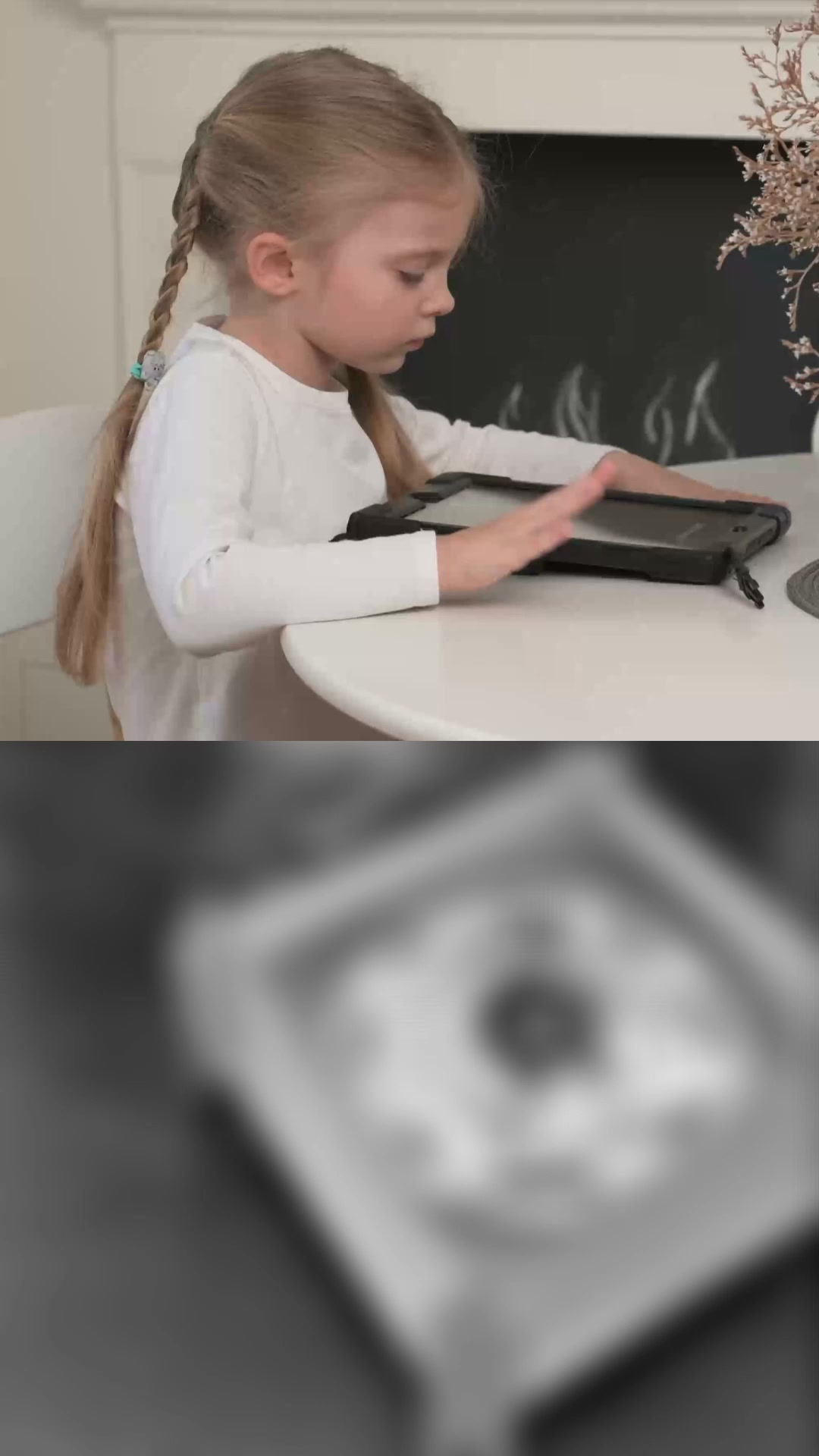 Proefpakket Zappie