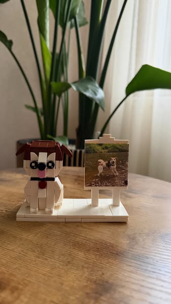Eigen foto Bouwpakket!