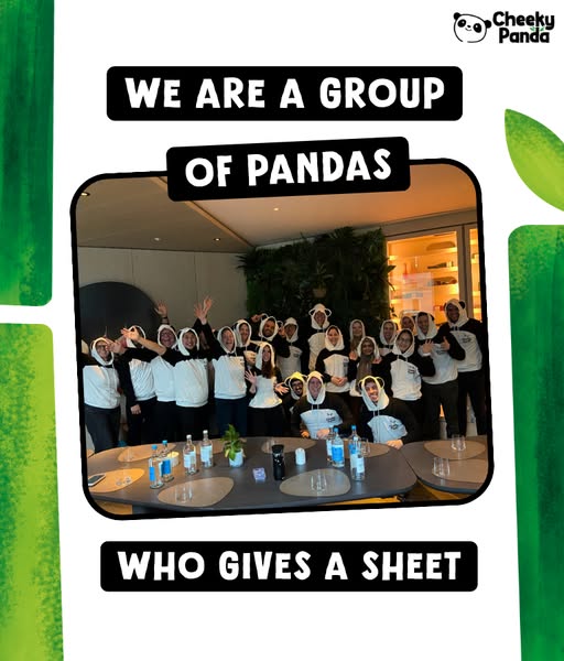 Meet the pandas who give a sheet