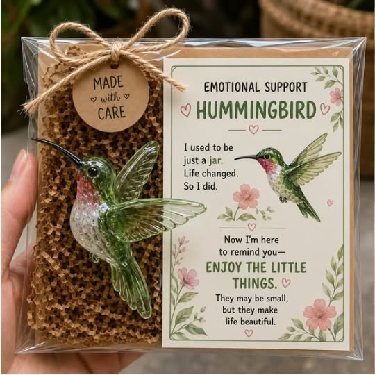 Emotional Sea Glass Support Animal Gift Set – A Meaningful Little Reminder That You Matter - Hummingbird