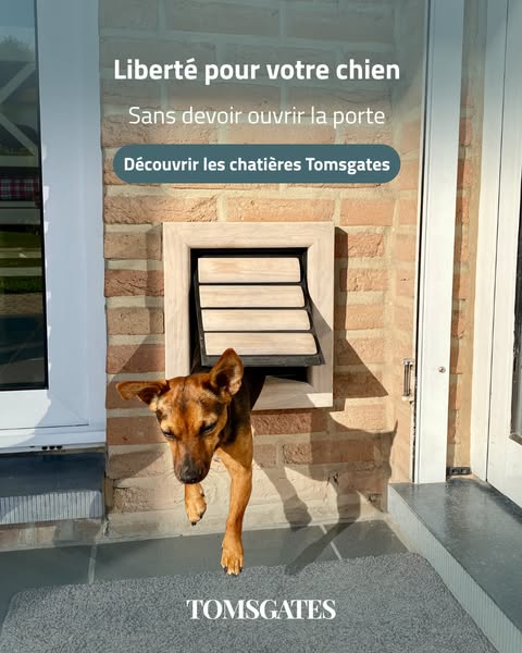 Laissez votre chien choisir (Tomsgates)
