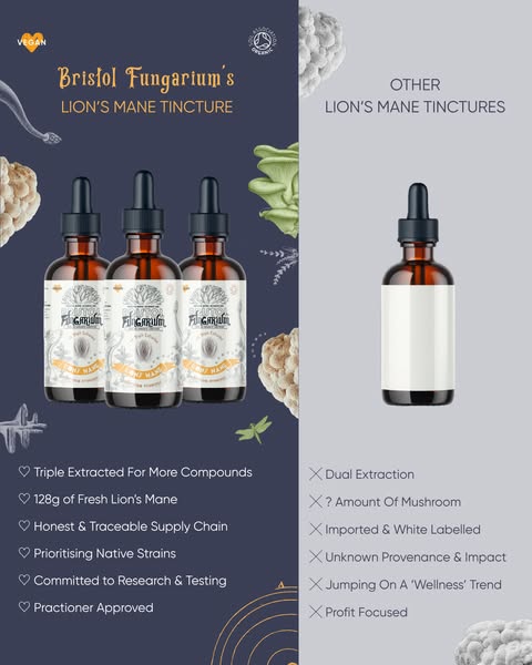 Triple Extracted For Better Bioavailability