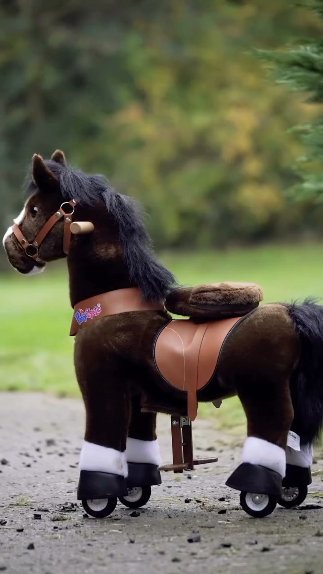This Autumn’s Best Gift