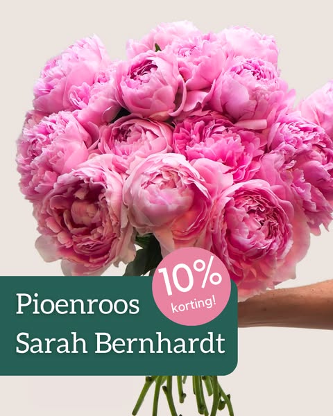 Shop nu met 10% korting