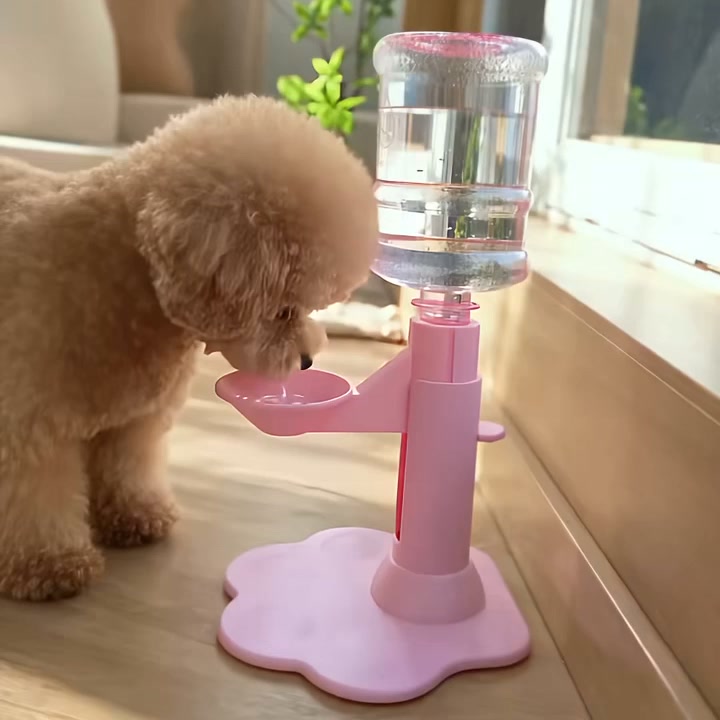Perfect for Cats & Small Dogs