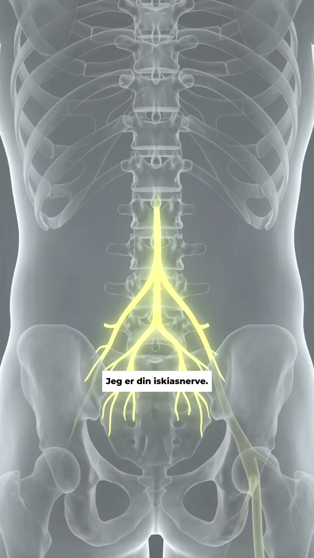 Lyt til alarmen i dit ben
