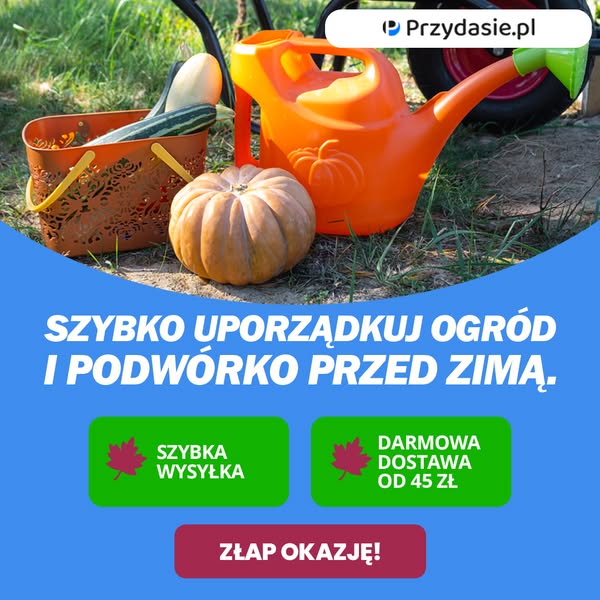 Jesienne przydasie już czekają