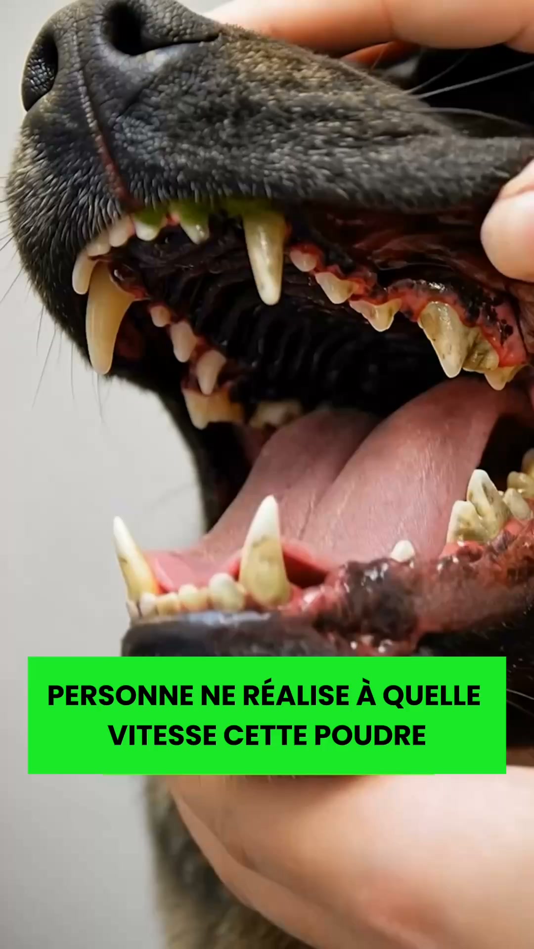 2 ACHETÉS = 1 OFFERT — Durée limitée