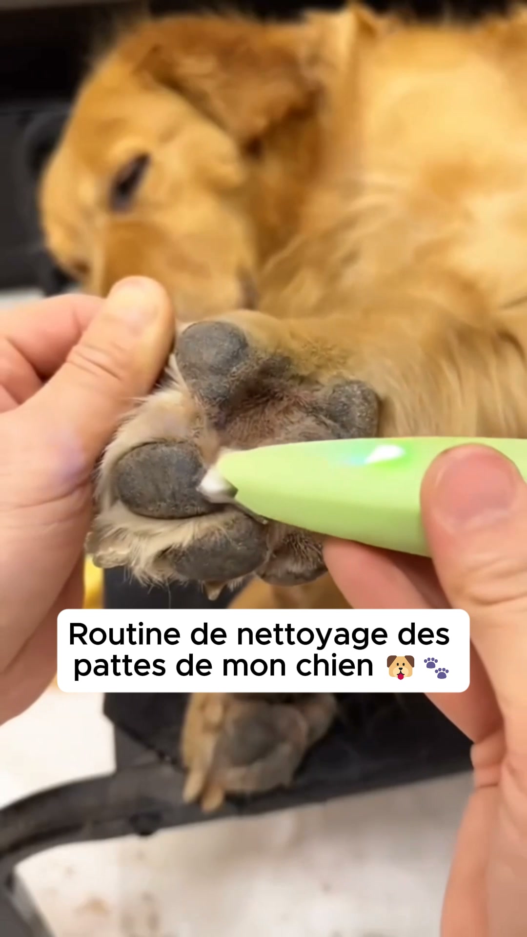 50% AUJOURD'HUI • Livraison offerte