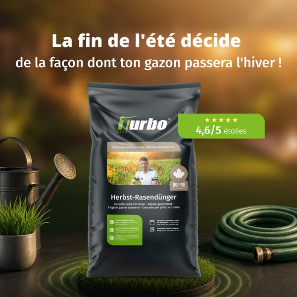 Sauver son gazon après l'été