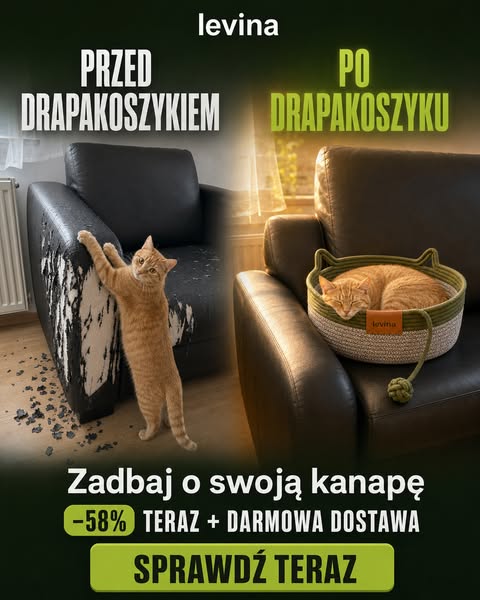 Ponad 20 000 Sprzedanych