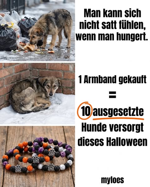 Halloween Limitierte Edition