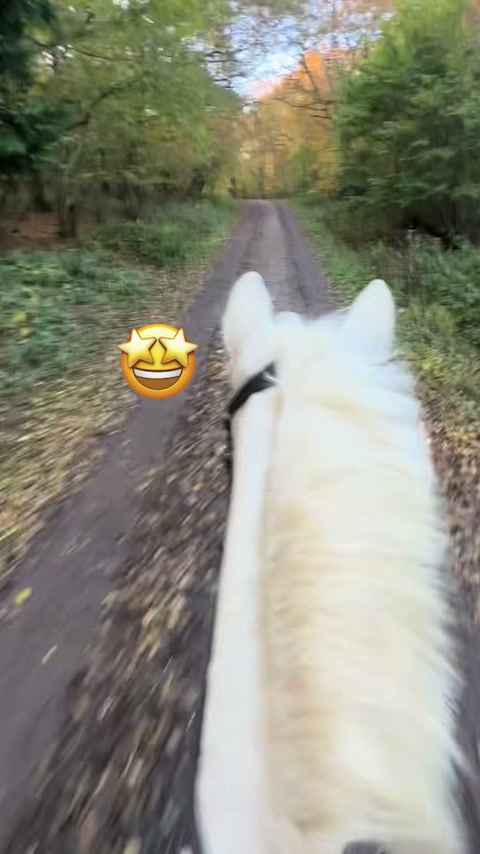 Fånga stunderna du aldrig vill glömma