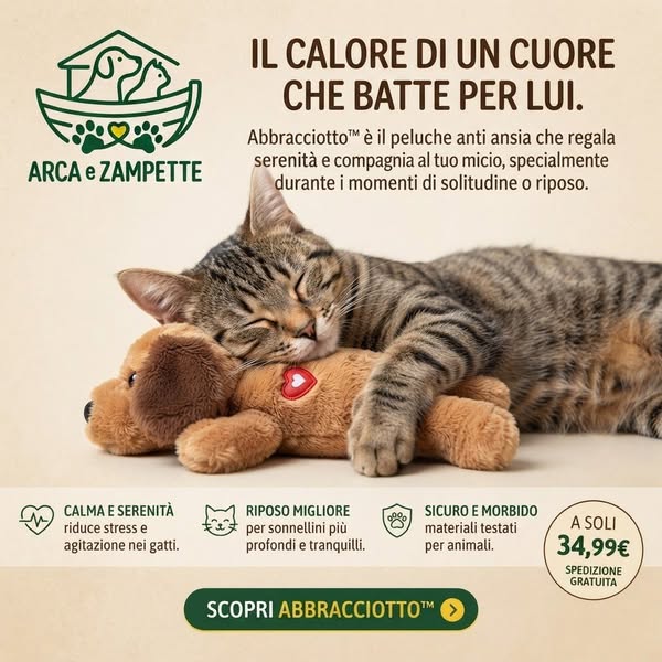 Spedizione Gratuita