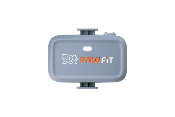Pawfit Lite for dogs - lilac grey