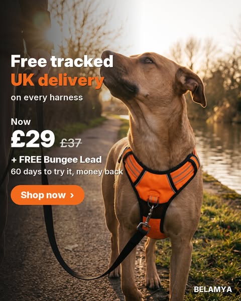 Free tracked UK delivery