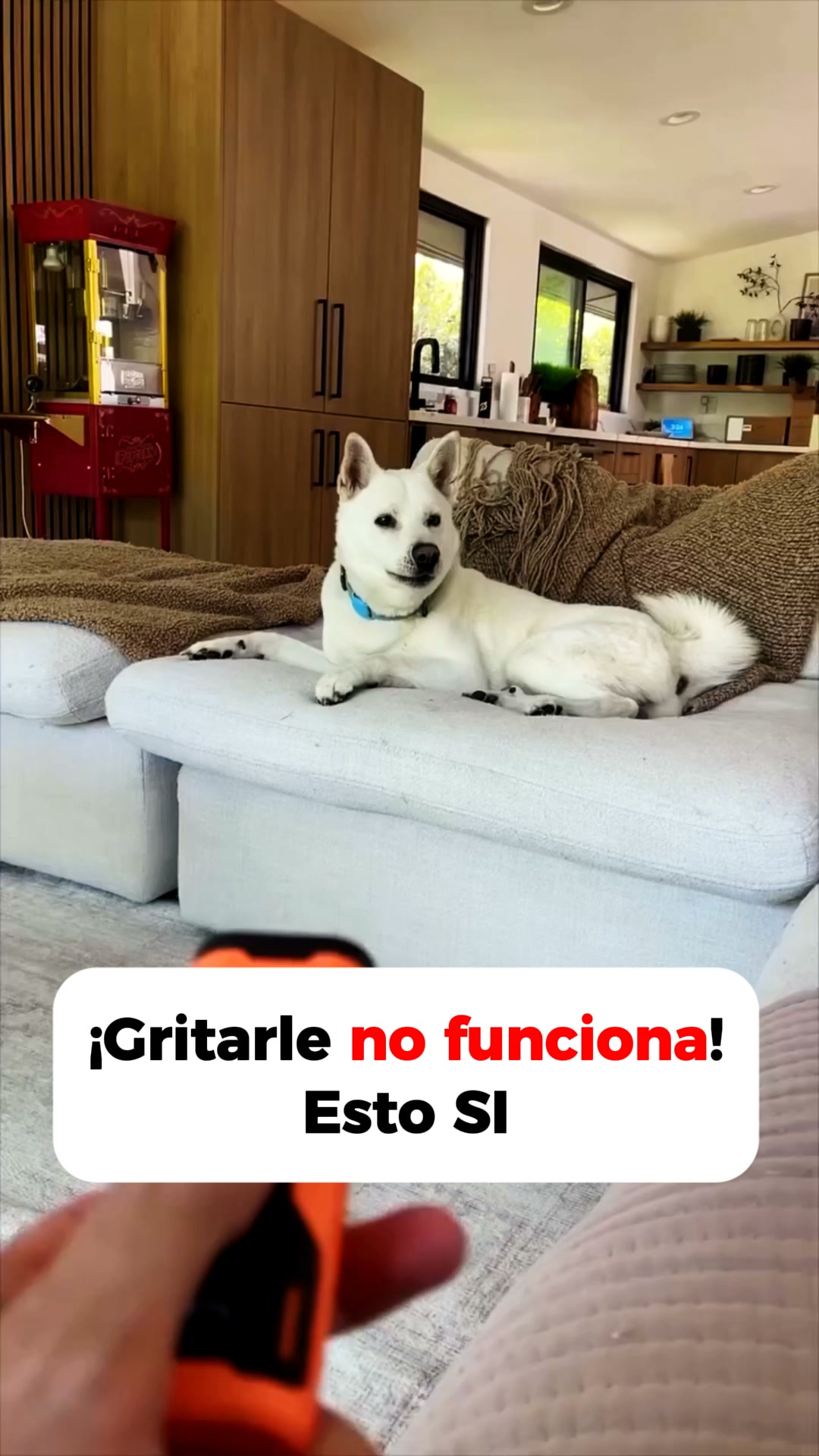 Envío gratis · Garantía 100 días