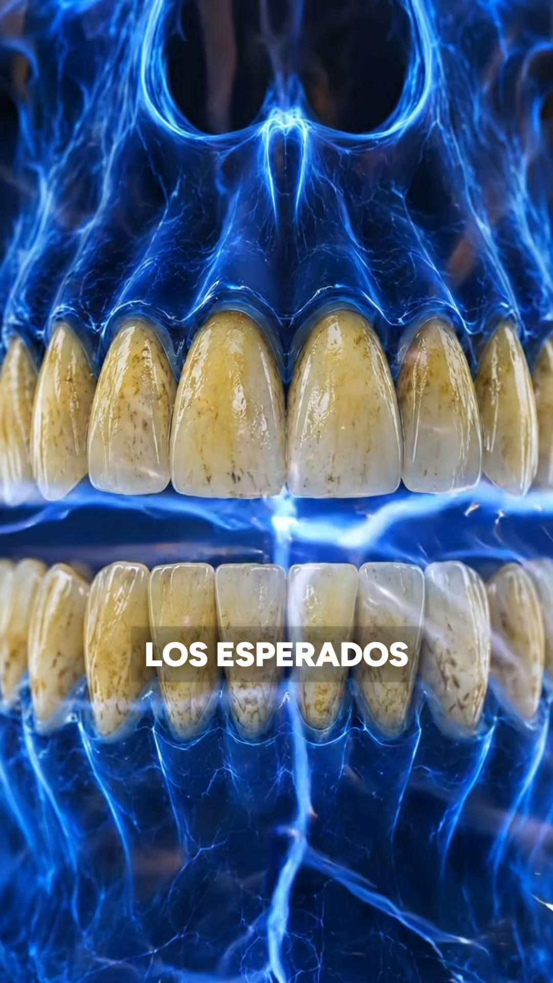 Unidades Limitadas
