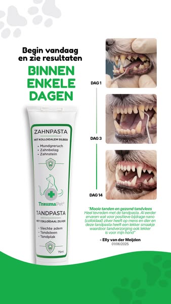 Alleen het beste voor je viervoeter