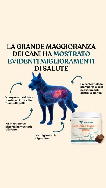 Elimina il Prurito del tuo Cane alla Fonte