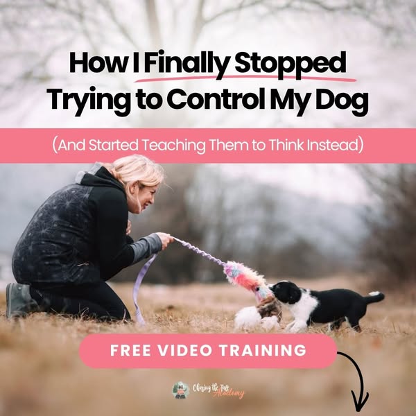 [FREE] Stop Controlling Your Agility Dog. Do This Instead.
