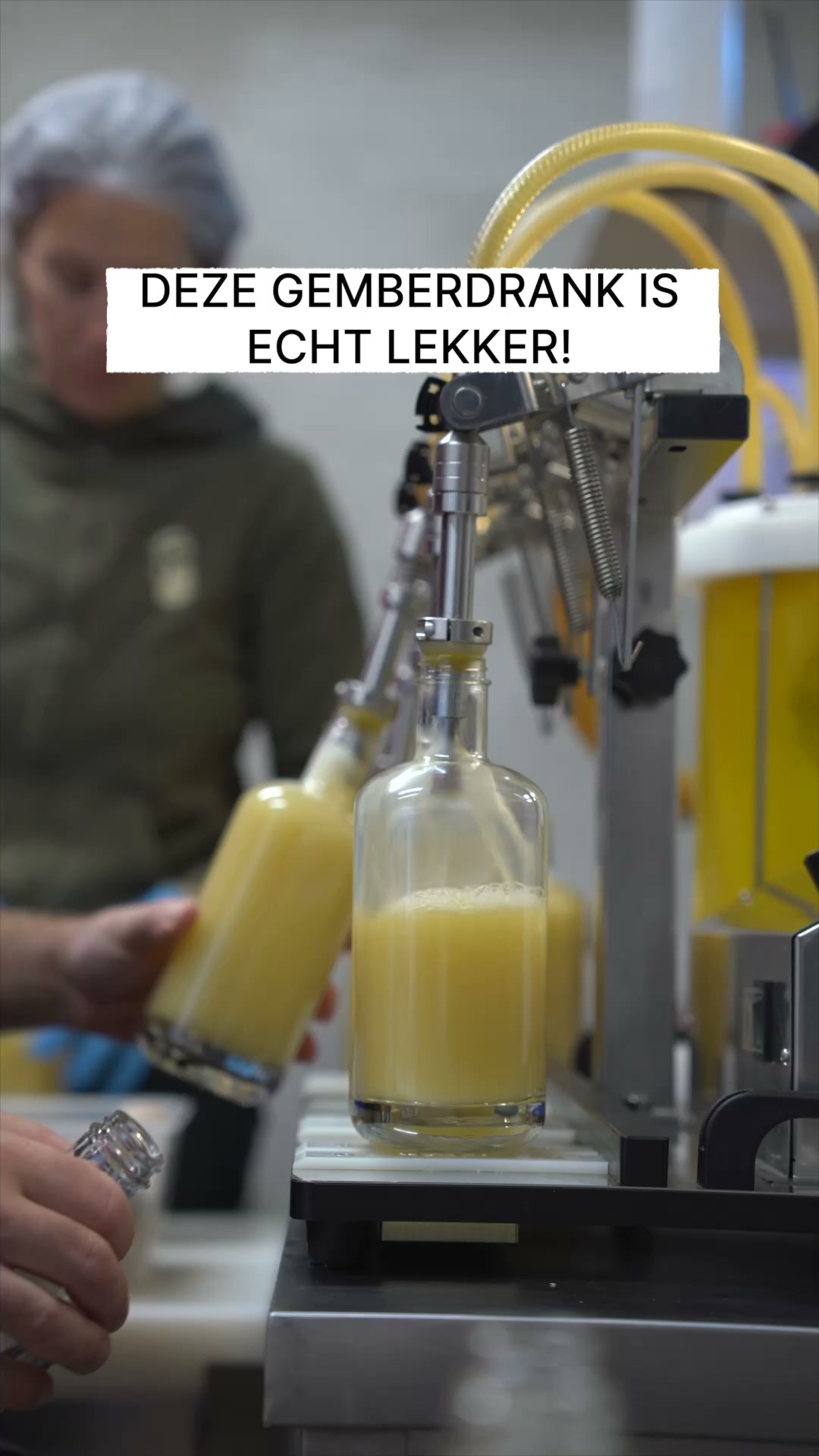 Halve kilo verse gember per fles