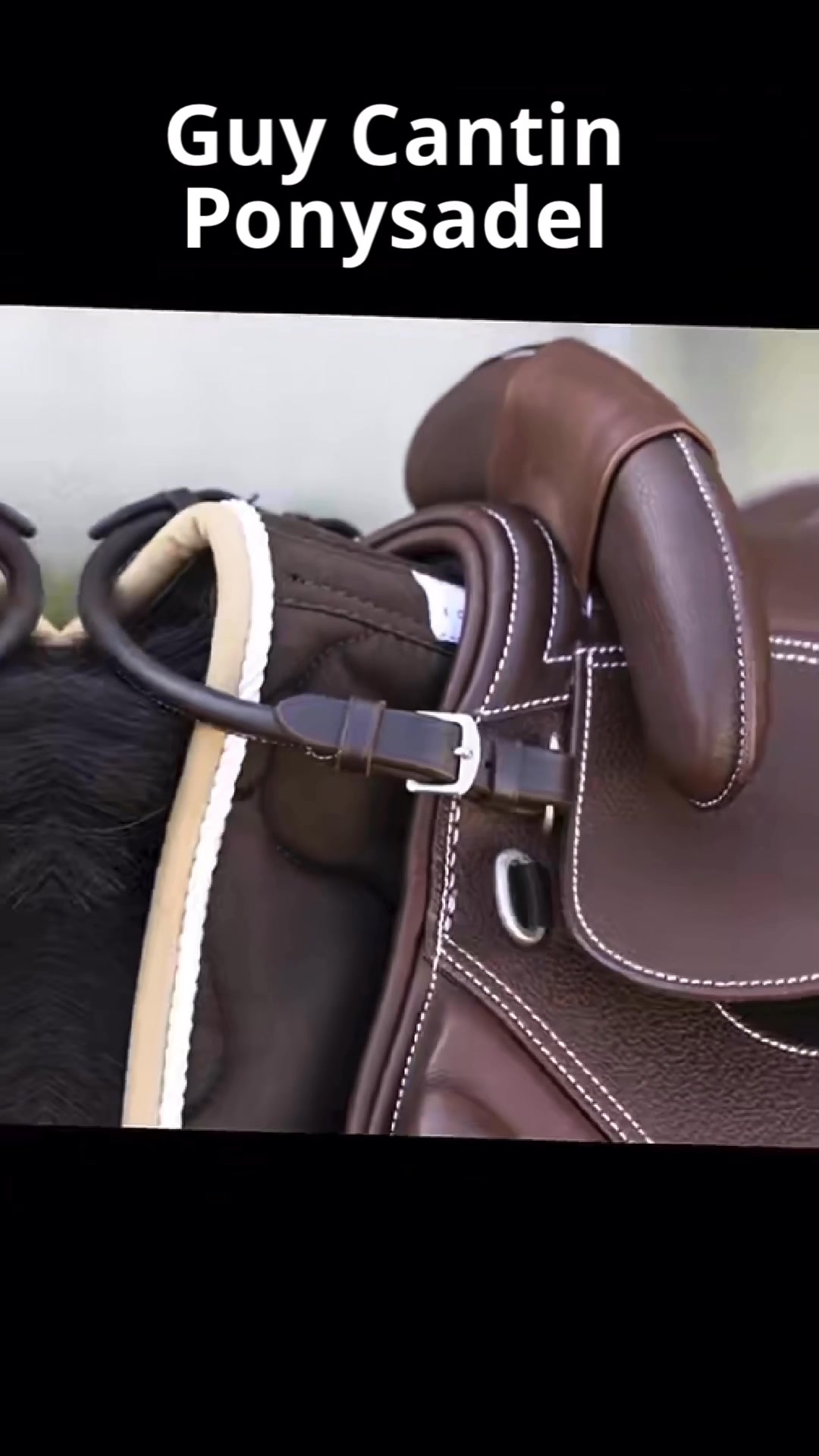 Anúncio de Contact Saddlery