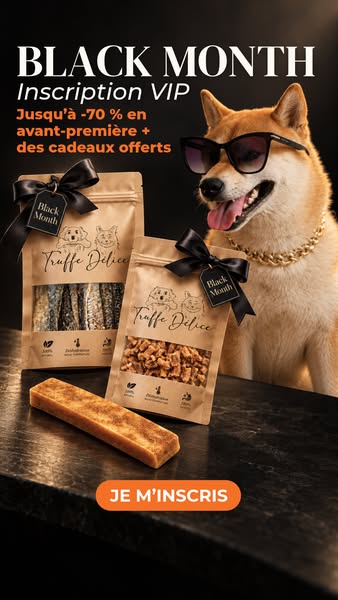 Black Month : accès VIP les 1er et 2 novembre