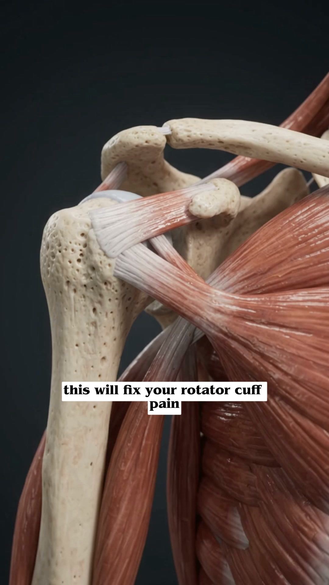 12-Minute Shoulder Comfort