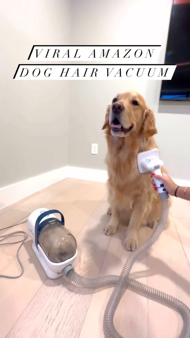 Groom at Home Without the Hairy Mess