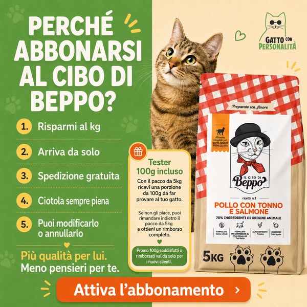 Perché abbonarsi a Il Cibo di Beppo? 5 buoni motivi.