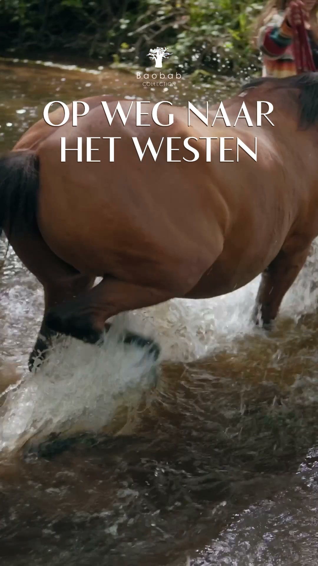 Ontdek onze limited edition