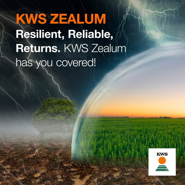 KWS Zealum