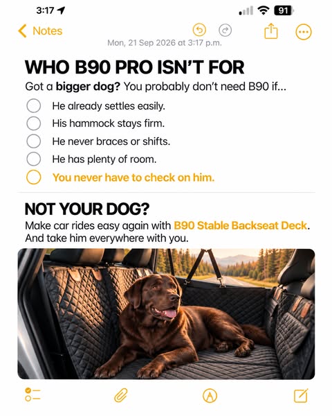 Upgrade Your Dog’s Seat